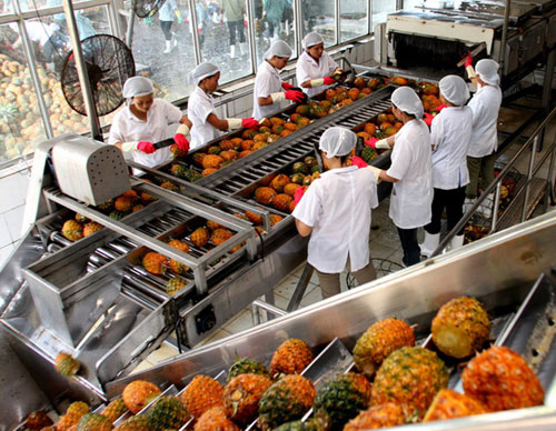 Hướng đi bền vững cho xuất khẩu nông sản