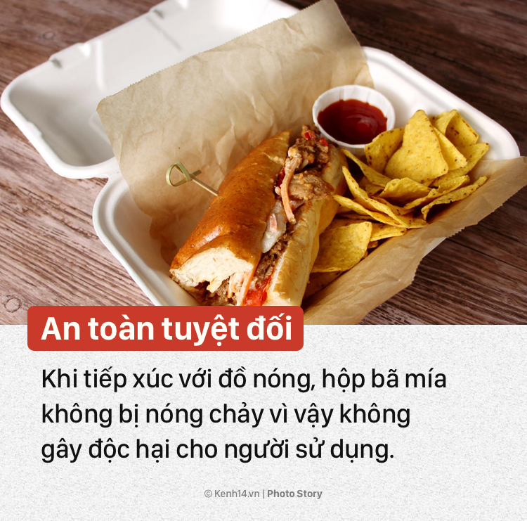 Hộp bã mía – giải pháp xanh cho môi trường