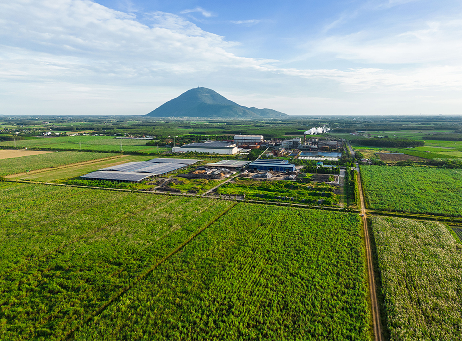 TTC AgriS: Doanh nghiệp Việt Nam đầu tiên đạt chứng nhận Bonsucro