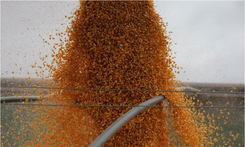 Triển vọng ethanol Brazil tăng có thể ảnh hưởng đến ngành đường